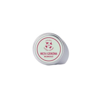 Mydlarnia Cztery Szpaki Balsam do ust Mięta i Czereśnia 15 ml